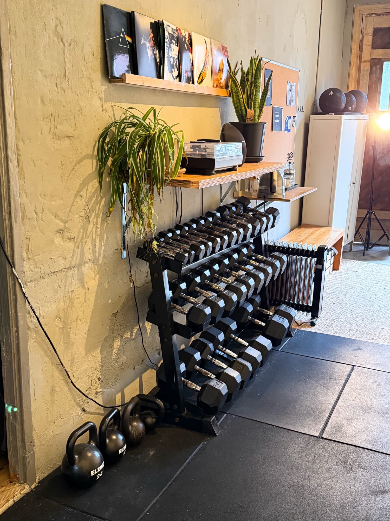 SculptClub boutique dumbbell rack with plants and vinyl