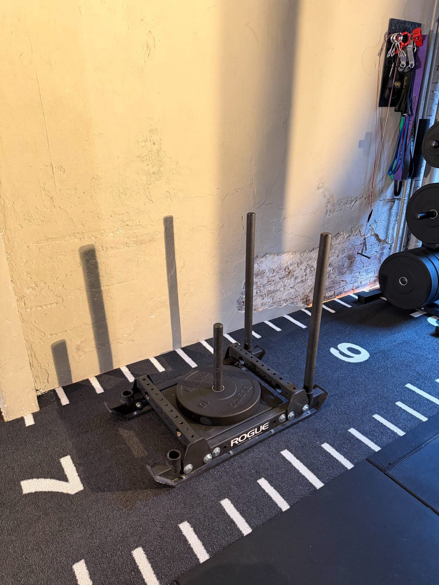 Dumbbell rack in the SculptClub private studio, Amsterdam